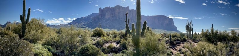 Sonora Desert