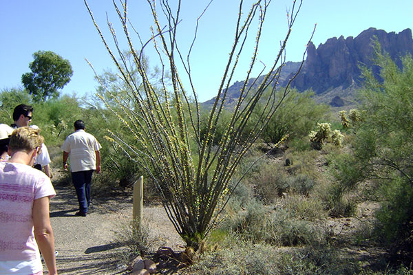 Apache Trail