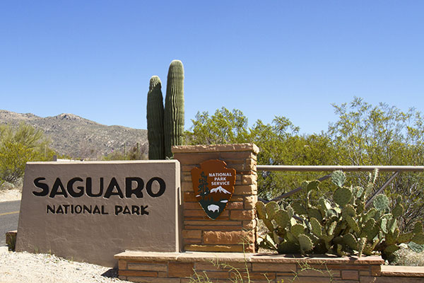 Saguaro National Park